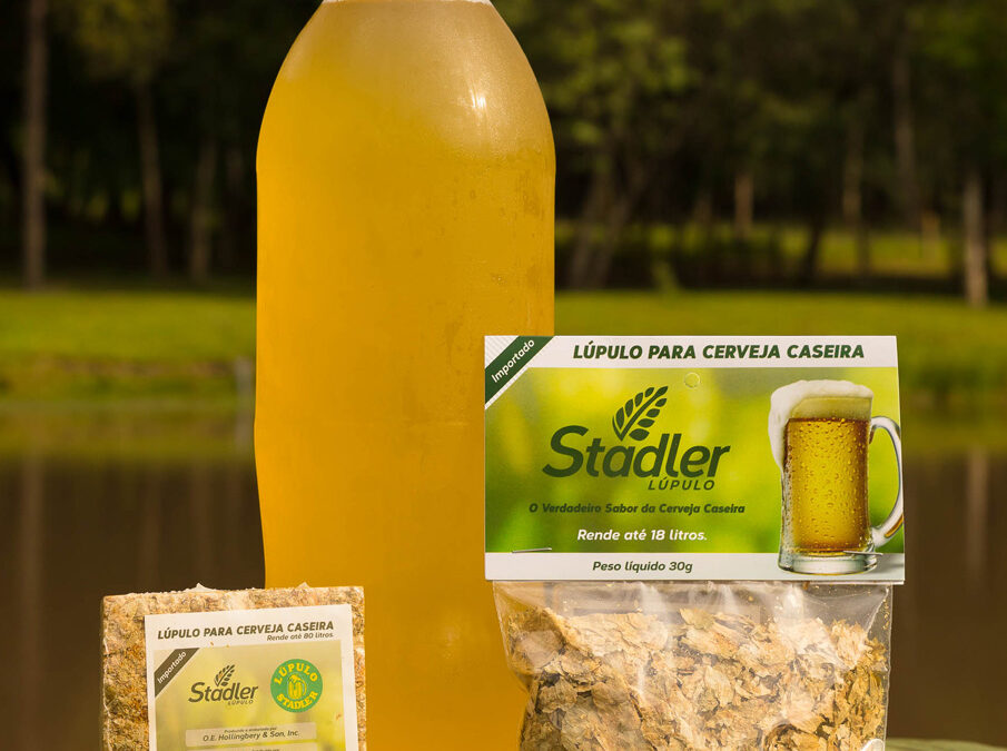 A importância do lúpulo na produção de cerveja caseira